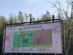 -上海海湾国家森林公园