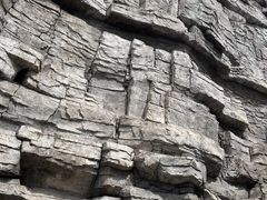 -辽宁古生物博物馆