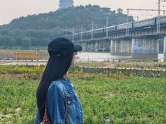 -永定河休闲森林公园