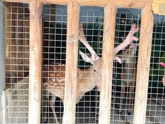 -云栖山谷野奢营地