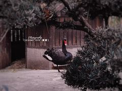 -和平公园