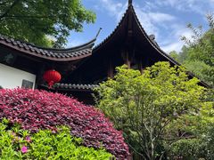 -十八棵（老龙井）御茶园(老龙井店)