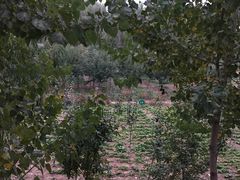 -仟吉KenGee(21世纪店)