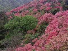 -木兰云雾山