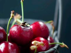 -小厨面(巨野路店)