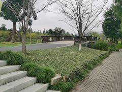 -长田漾湿地公园