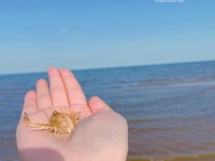 -东戴河风景区-止锚湾