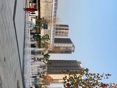 -洋湖国家湿地公园