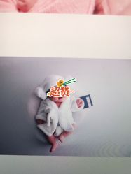 -西瓜庄园儿童摄影