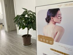 -凡碧诗毛孔收细