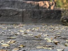 -沂蒙云瀑洞天景区