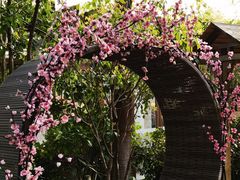 -张家港金凤凰度假村温泉