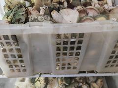 -双喜农庄·菌香园(安居家园店)