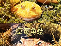 -太平洋海底世界