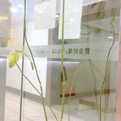 -镁连社·美联社