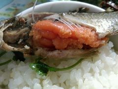 android_upload_pic-泸沽肴(泸沽湖大洛水村农村信用社旁店)