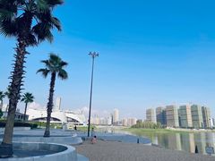 -金沙湖公园