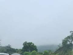 -杨梅坑