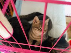 -美迦爱-牙专科·兔科·骨科诊疗中心(北苑店)