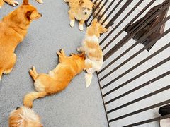 -万达广场(太原街店)