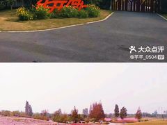 -花开海上生态园