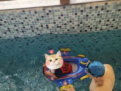 -南宫温泉水世界