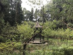 -重庆抗战遗址博物馆