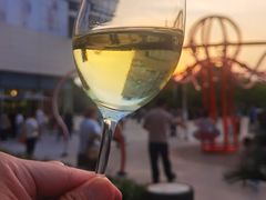 智利长相思干白-The BREW·酿餐厅(浦东嘉里大酒店)