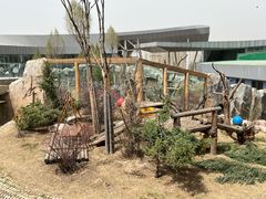 -青藏高原野生动物园