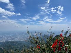 -泰山风景名胜区