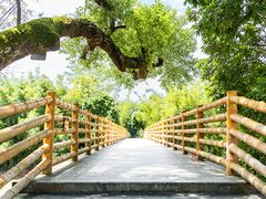 -苏家围·东江画廊旅游景区