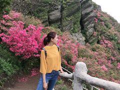 -木兰云雾山
