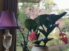 -浙江西子宾馆·瑶园咖啡厅