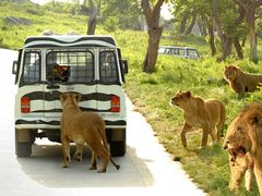 -西安秦岭野生动物园