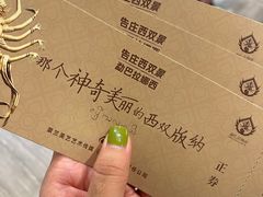 -勐巴拉娜西大剧院