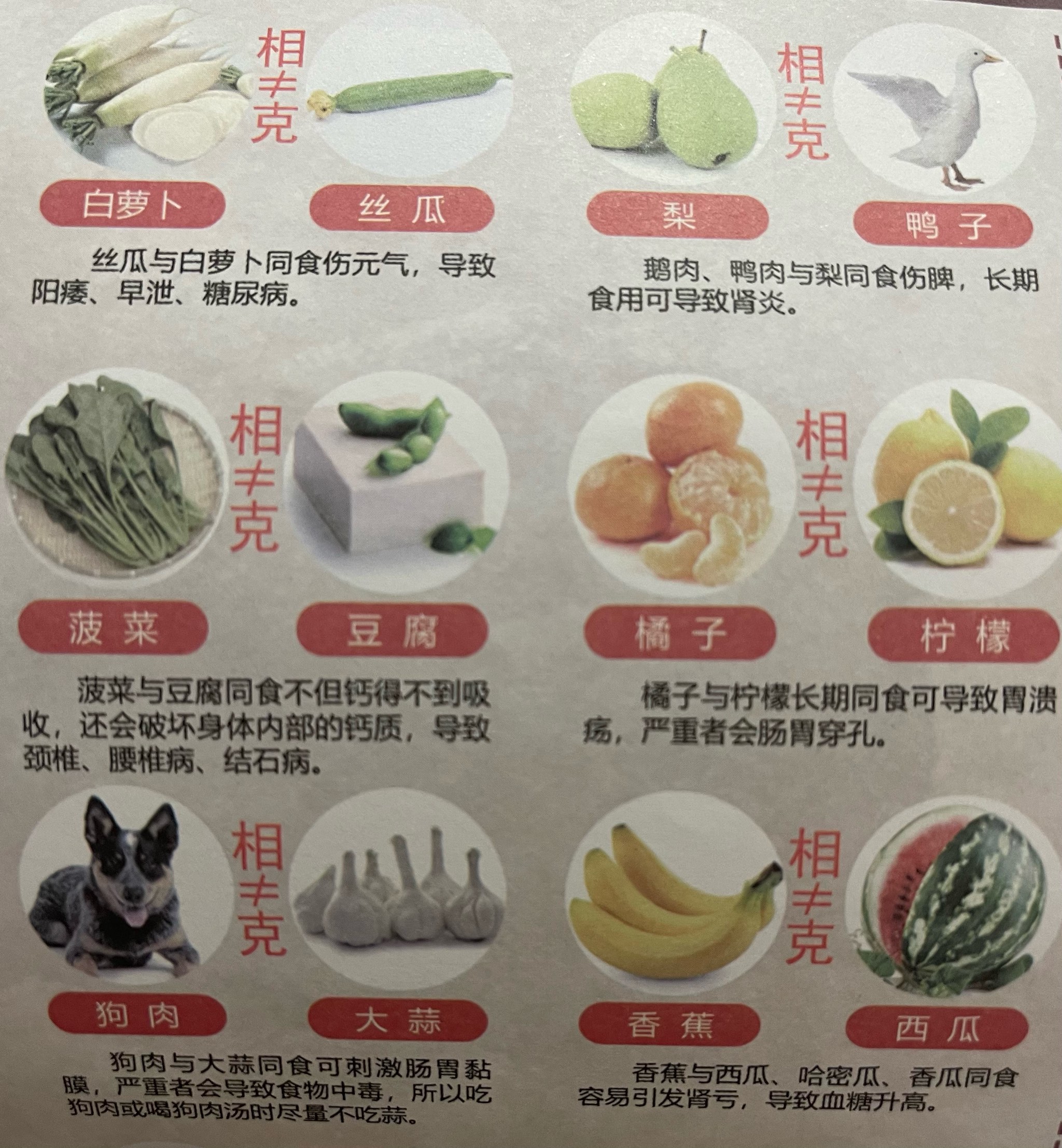 什么食物相生相克图片