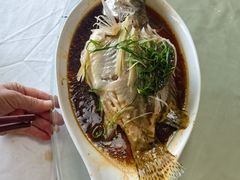 清蒸桂鱼-暨南大学（石牌校区）明湖楼