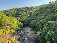 -广州白江湖森林公园