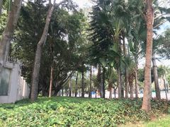 -福田红树林生态公园