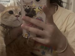 -安安宠医·臻爱宠物医院·宠保定点(营门口路分院)