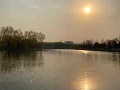 -东郊湿地公园