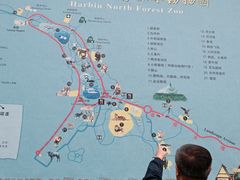 -哈尔滨北方森林动物园
