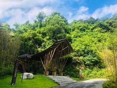 -阳台山森林公园