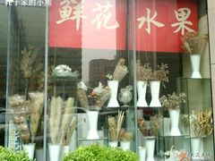 -中国人民解放军第九医学中心(306医院)