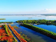 -呼兰河口湿地公园