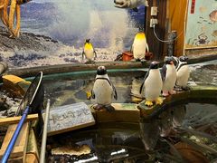 -海鮮市場長崎港(出島ワーフ店)