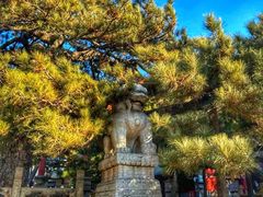 -潭柘寺景区