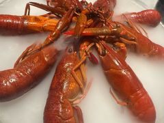 -红盔甲·小龙虾(天钥桥店)