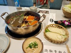-菌子鲜汤野生菌锅