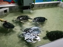 -常州海昌海洋探索馆
